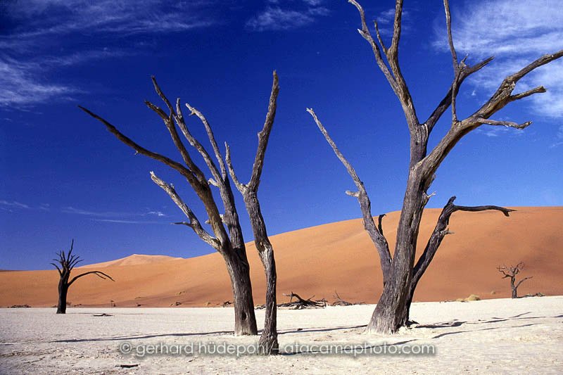 Preview deadvlei.jpg