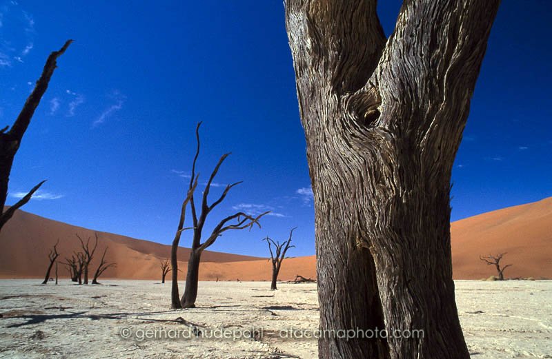 Preview deadvlei1.jpg