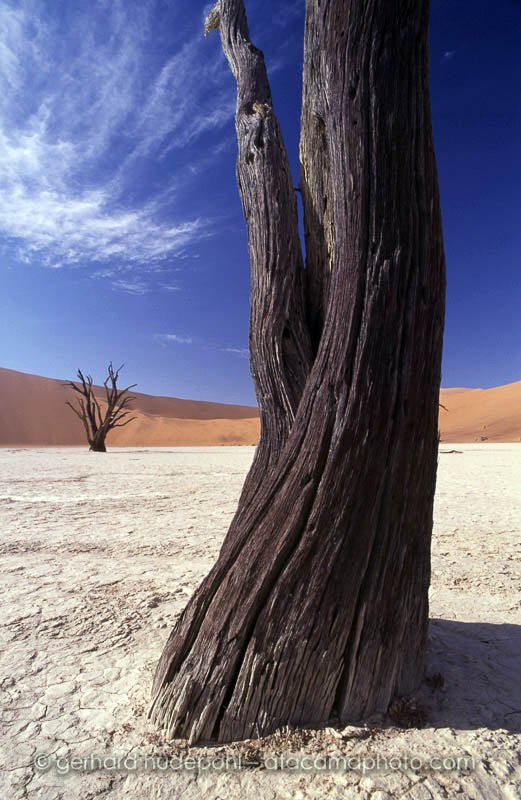 Preview deadvlei2.jpg