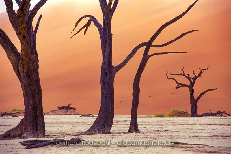 Preview deadvlei4.jpg