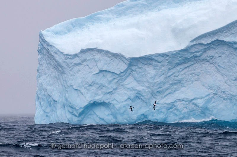 Preview antarctica50.jpg