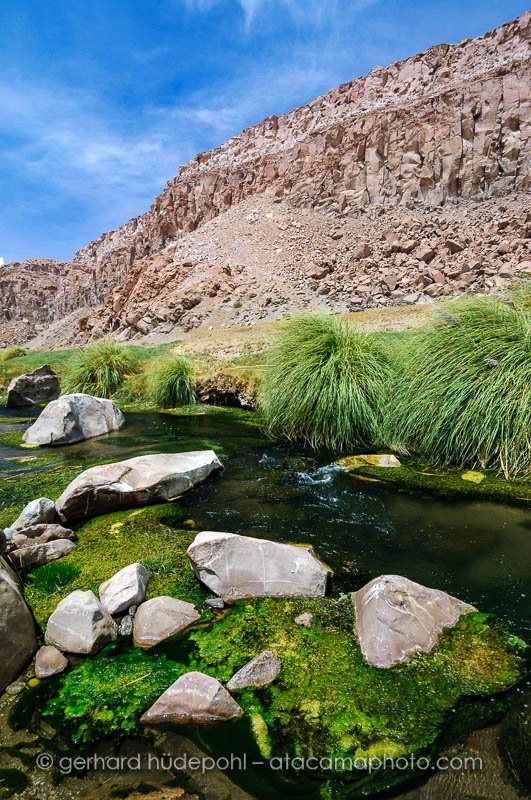 Rio Loa is the longest river of the Atacama desert in Chile, forming a green oasis in the desert canyon. (D2X4289.jpg) Rio Loa is the longest river of the Atacama desert in Chile, forming a green oasis in the desert canyon. (D2X4289.jpg)