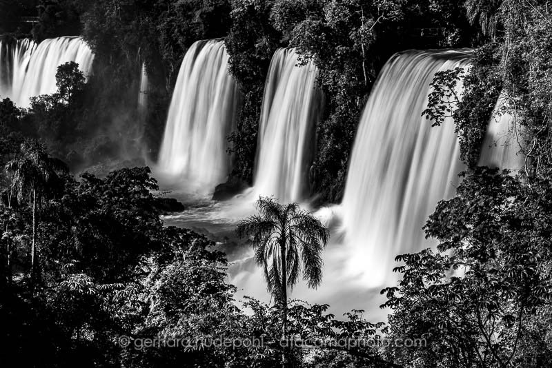 Preview D5C1578bw.jpg