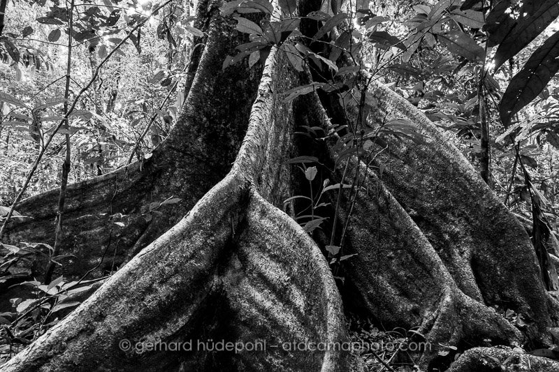 Preview DSC8545bw.jpg