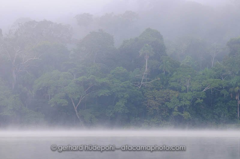 Chalalan lake and rainforest in morning mist, Madidi National Park