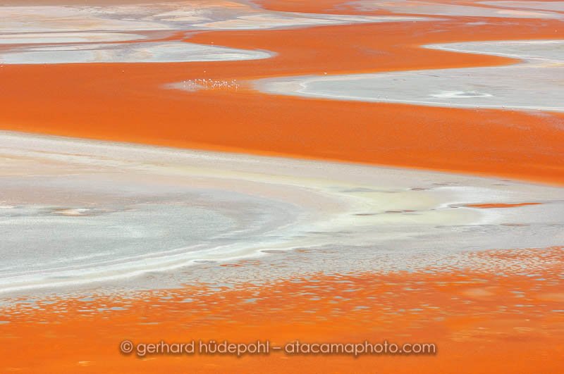 Abstract detail of Laguna Colorada, Bolivia