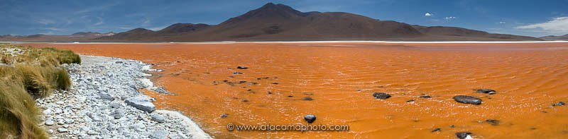 Laguna Colorada panorama, Bolivia, the orange color is produced by micro algae