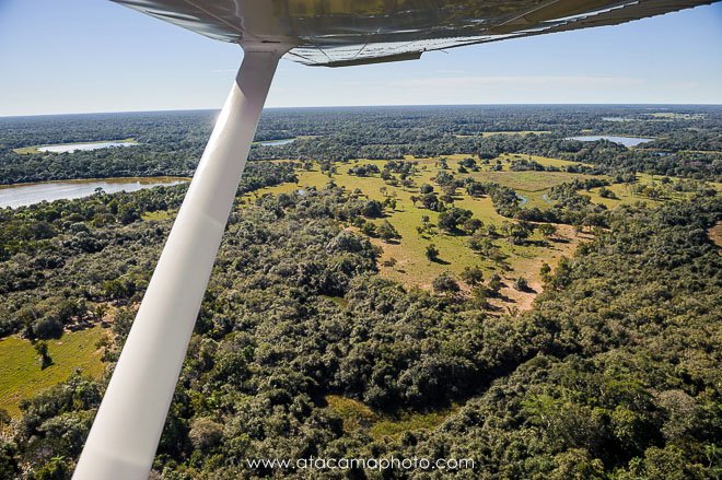 Preview aerial-flying-low-above-pantanal.jpg