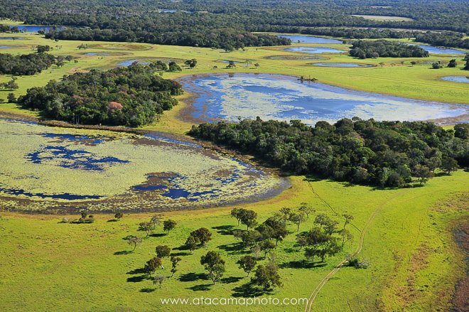 Preview pantanal-lakes-forests-grassland-from-air.jpg