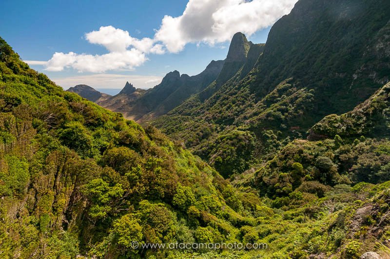 Dense vegetation and rugged mountains of Robinson Crusoe Island, Chile