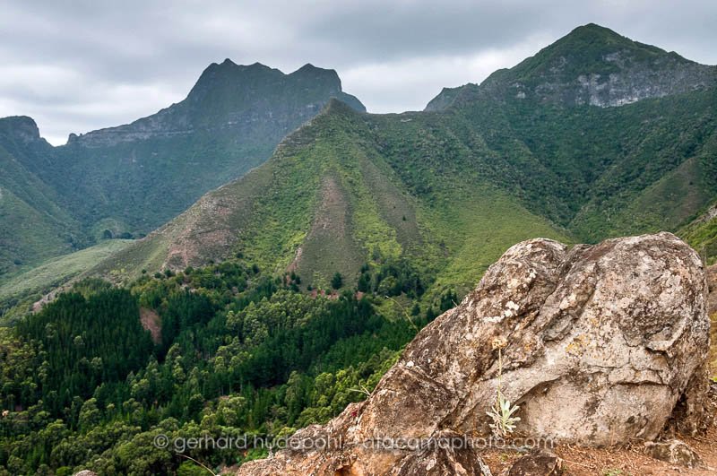 View to Cerro El Yunque from Salsipuedes trail, Robinson Crusoe island