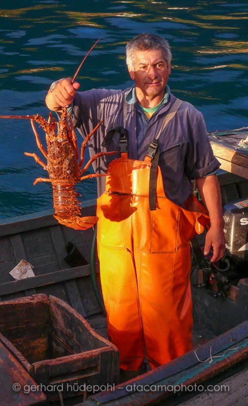 Fisherman with large lobster, Robinson Crusoe island
