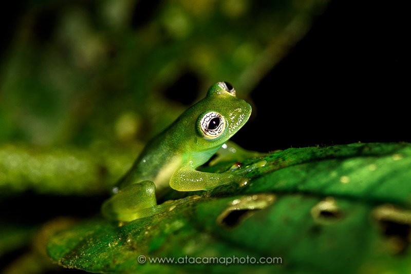 Preview D5C7348.jpg