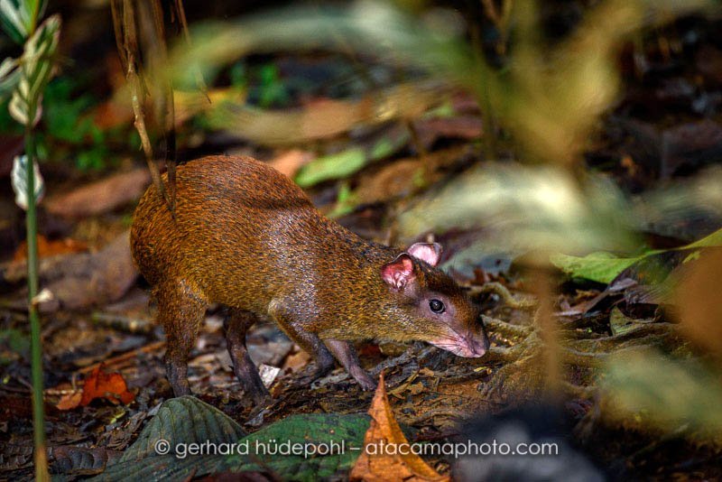 Preview D5C7670.jpg
