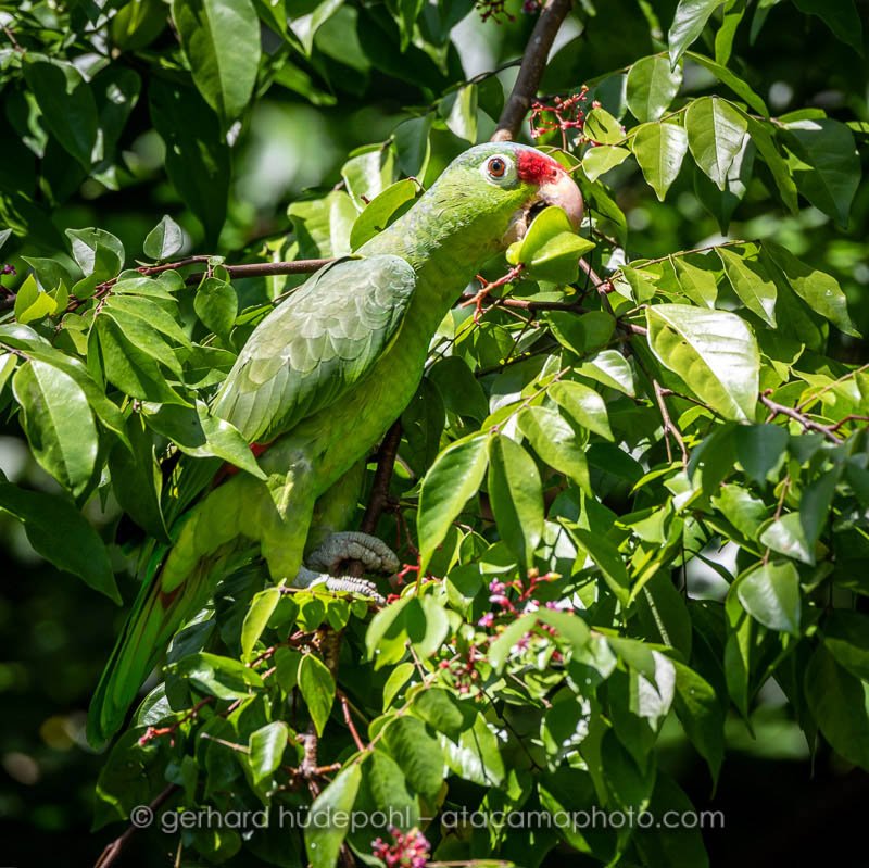 Preview D5F3871pano.jpg