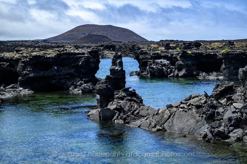 Preview _Y8A1520.jpg