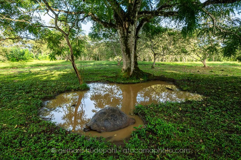 Preview _Y8A2957.jpg