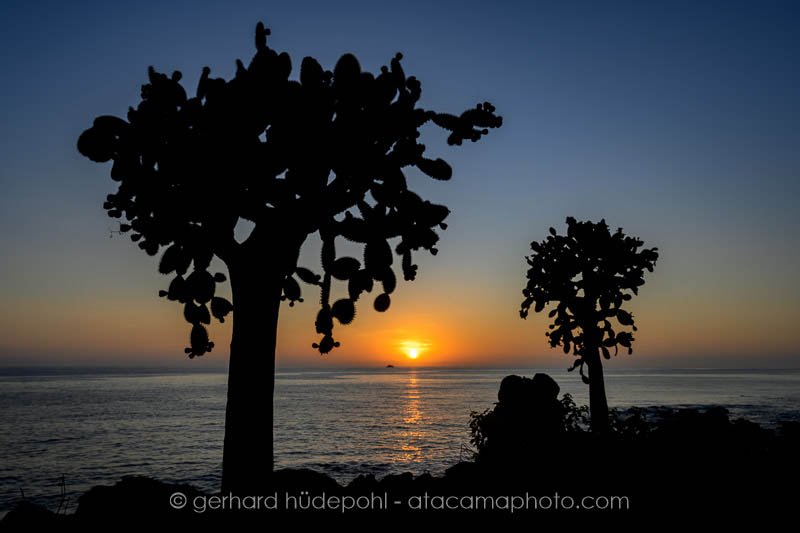 Preview _Y8A4347.jpg