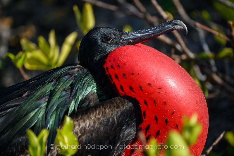 Preview _Z8E5476.jpg