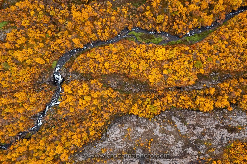 Preview DJI_0357.jpg
