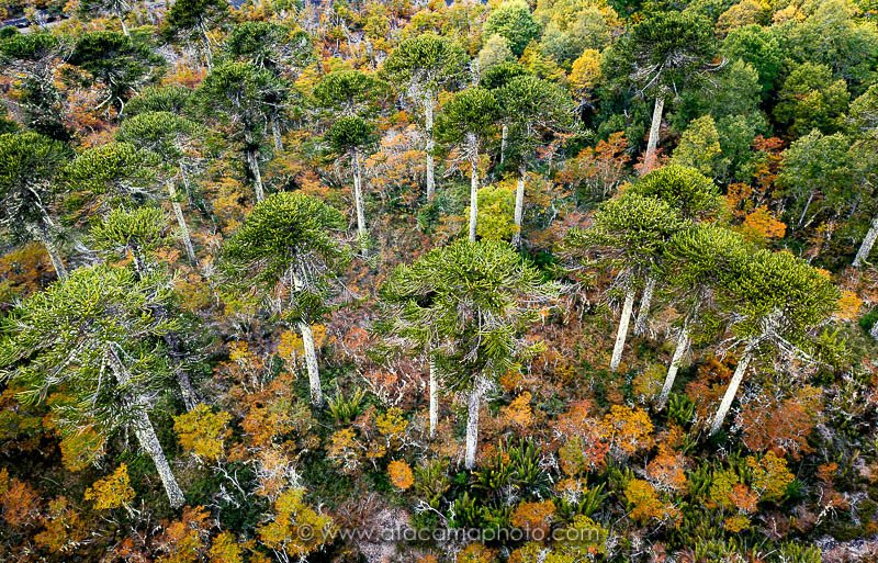Preview DJI_0043.jpg