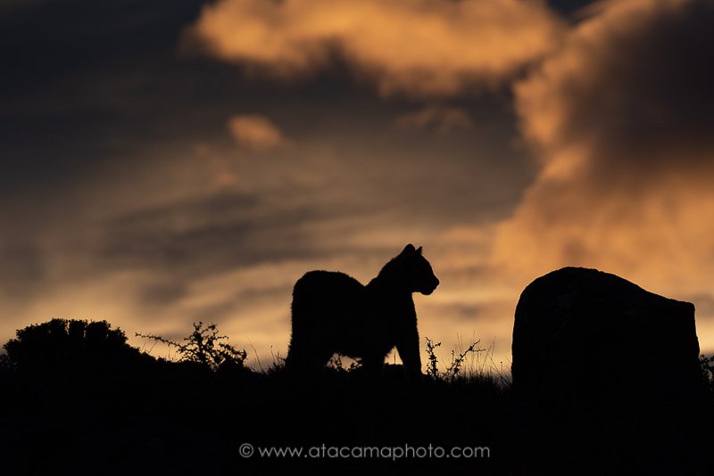 Preview D5D7676.jpg